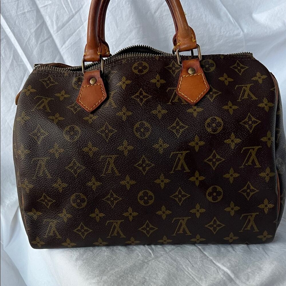 Louis Vuitton Speedy 30 Handbag SA842